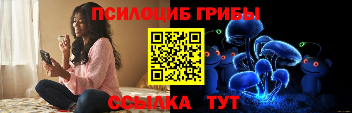 Галлюциногенные грибы мухоморы  Псилоцибиновые грибы MAGIC MUSHROOMS  Гудермес  Вход с VPN 