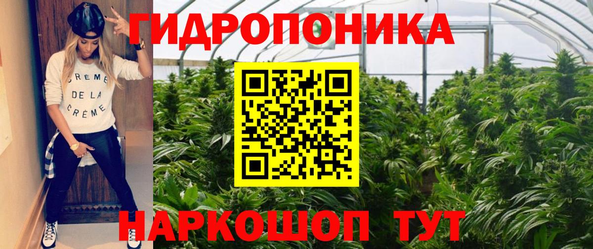 Марихуана White Widow  Бошки марихуана план  Бошки марихуана тримм  Гудермес  Вход с VPN 